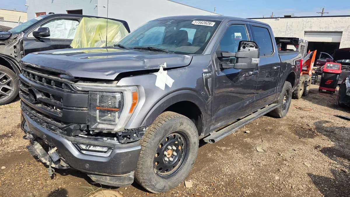 Wheels / Rims (set) — 2023 Ford F-150